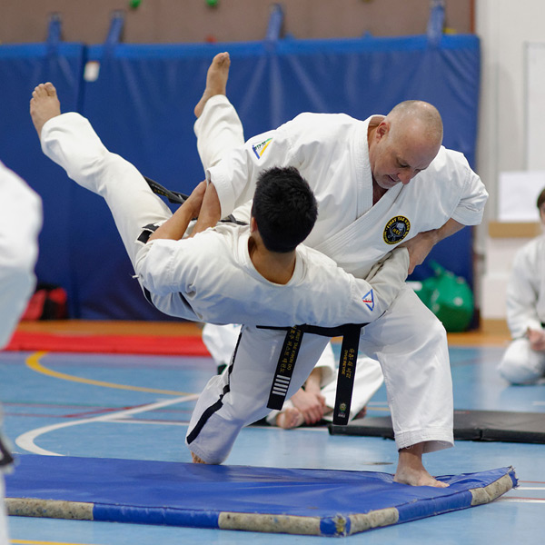 Taekwondo Throw